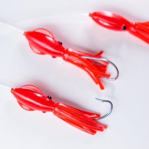 Filosa mini squid